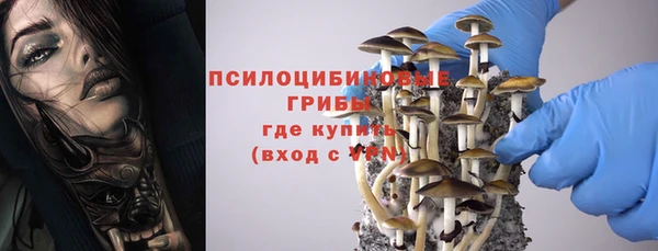 тгк Алексин
