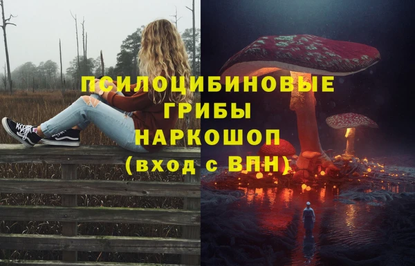 бутират Алексеевка