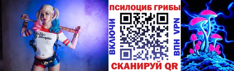 darknet какой сайт  Терек  Галлюциногенные грибы прущие грибы 