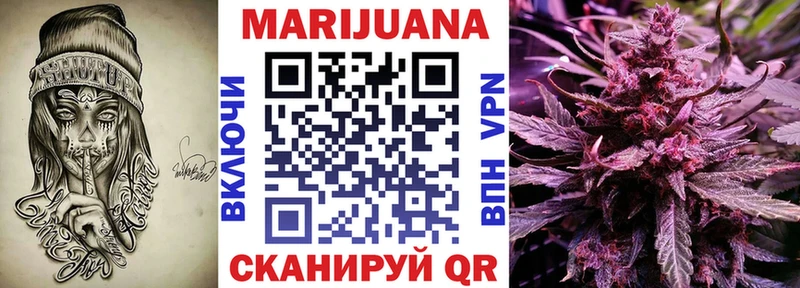 Бошки Шишки конопля  Терек 